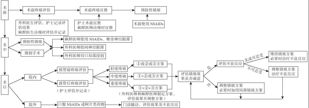 中国胸外科围手术期疼痛管理专家共识（2018 版）